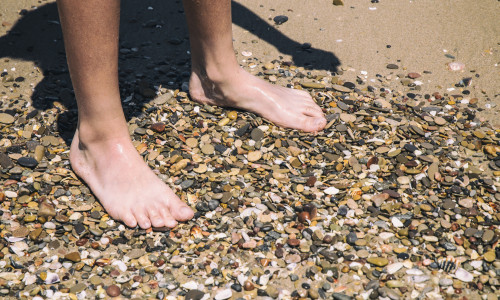 AdobeStock 276134264