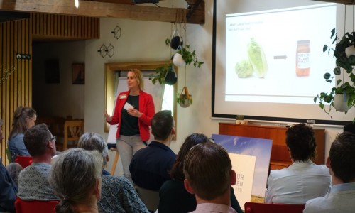 Oorsprong Consult Kool Kimchi