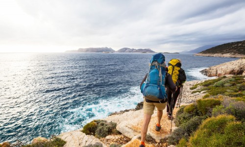 Oorsprong Consult Ontwikkel