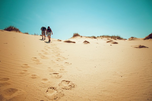 Oorsprong Consult Proces 3